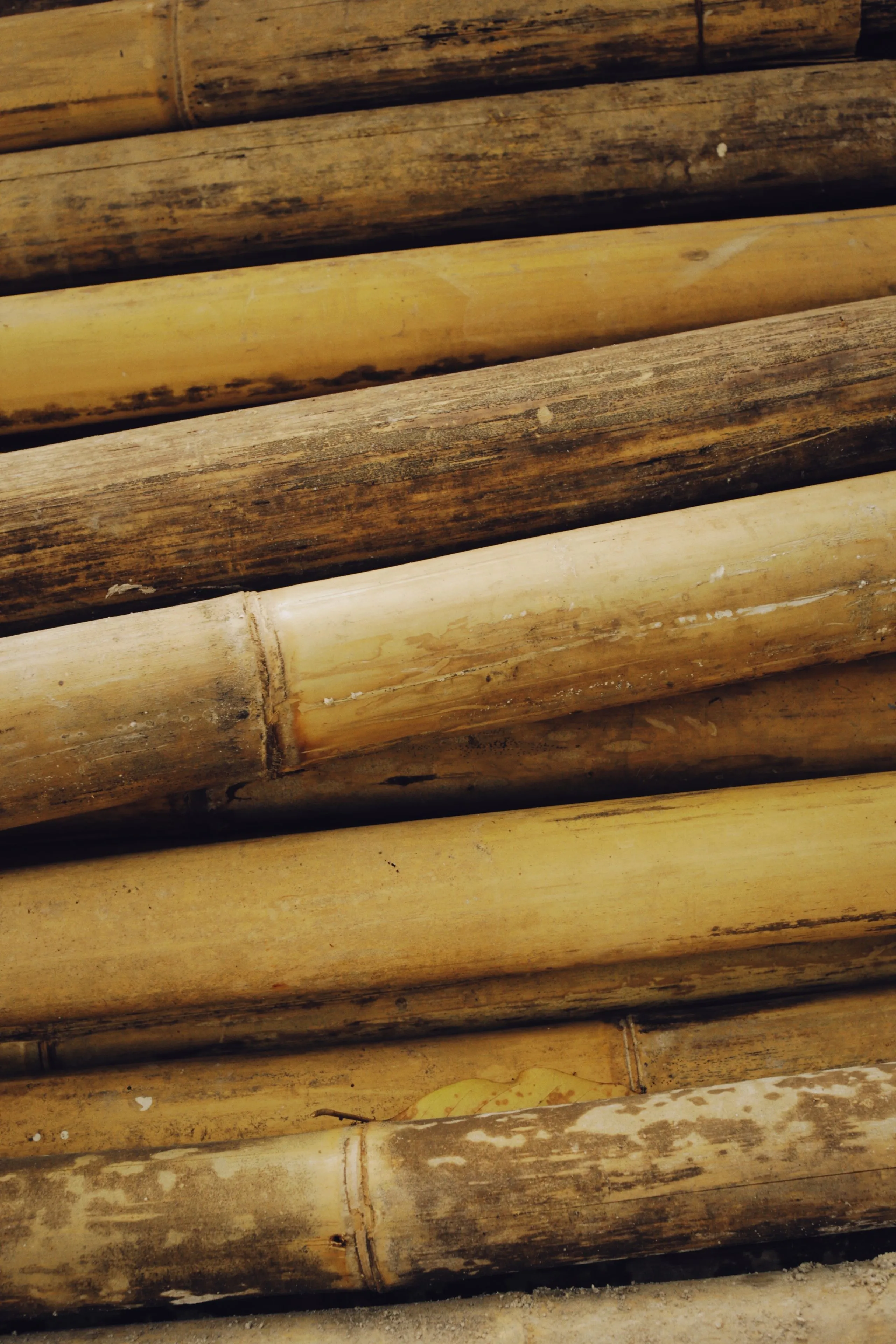 Bamboo Products